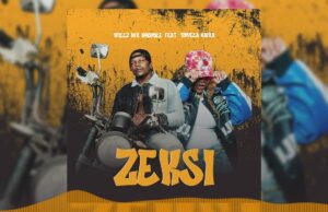 Willz Mr Nyopole ft Towela Kaira Zeksi Mp3 Download