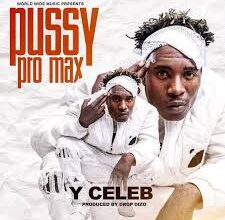 Pussy Pro Max by Y Celeb Mp3 Download