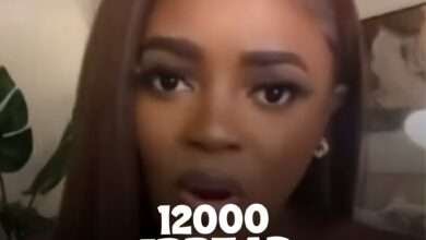 12 Pin For Bread mp3 download