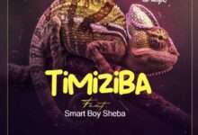 Drimz Timiziba mp3 download