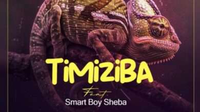 Drimz Timiziba mp3 download