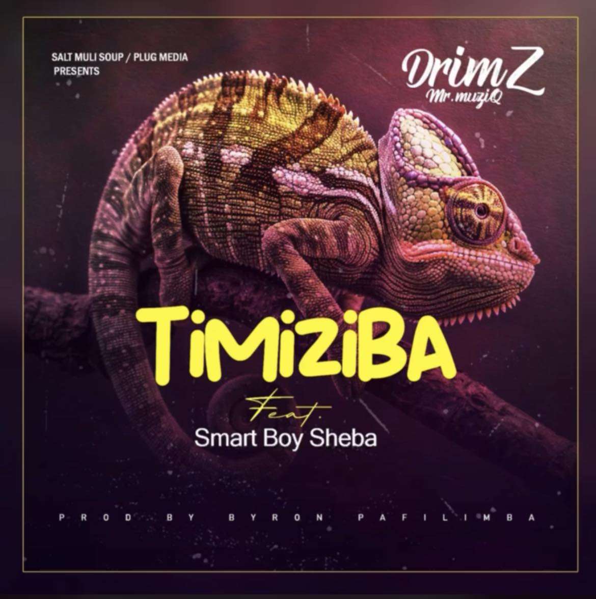 Drimz Timiziba mp3 download