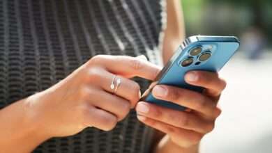 how to check grade 12 results online 2025